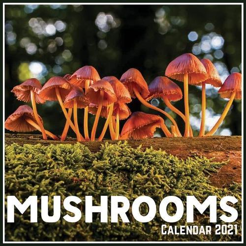 Mushrooms Calendar 2021: Official Mushrooms Calendar 2021, 12 Months
