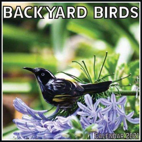 Backyard Birds Calendar 2021: Official Backyard Birds Calendar 2021, 12 Months