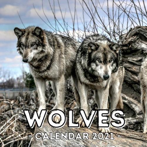 Wolves: 2021 Calendar, Cute Gift Idea For Wolf Lovers Men And Women