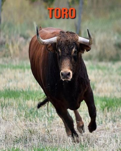 Toro: Immagini bellissime e fatti interessanti Libro per bambini sui Toro