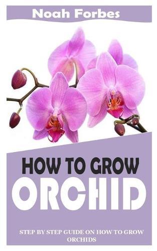 How to Grow Orchid: Step By Step Guide On How to Grow Orchids