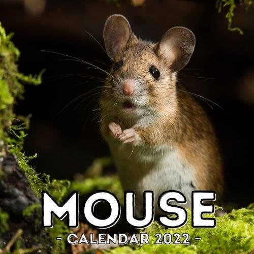 Mouse Calendar 2022: 16-Month Calendar, Cute Gift Idea For Mice Lovers Women & Men