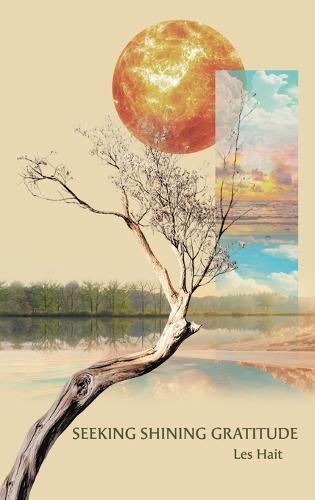 Seeking Shining Gratitude