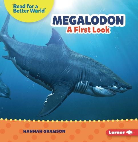 Megalodon: A First Look