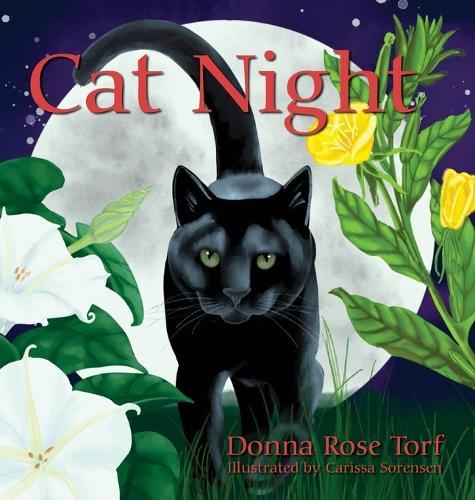 Cat Night