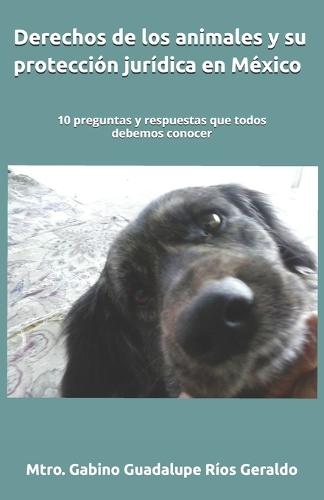 Derechos de los animales y su protección jurídica en México: 10 preguntas y respuestas que todos debemos conocer