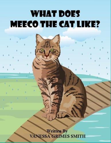 What Does Meeco The Cat Like?