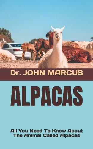 Alpacas: All You Need To Know About The Animal Called Alpacas