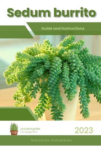 Sedum burrito: Succulent Handbook: Complete Guide to Growing Succulent Plant
