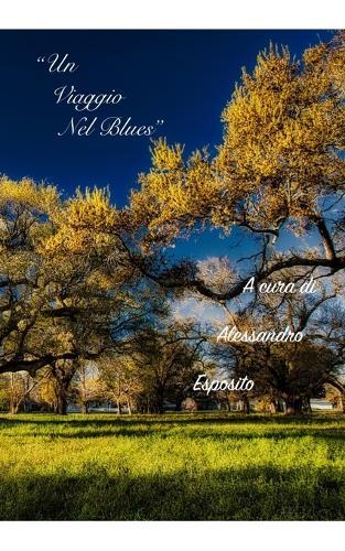 Un Viaggio Nel Blues