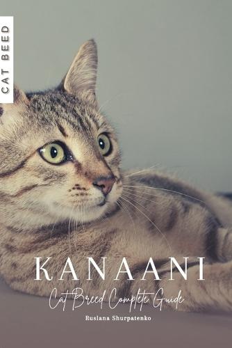 Kanaani: Cat Breed Complete Guide