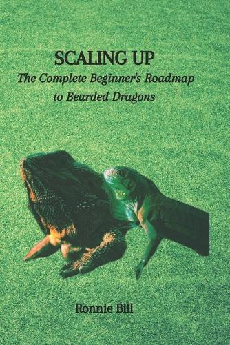 Scaling Up: The Complete Beginner's Roadmap to Bearded Dragons