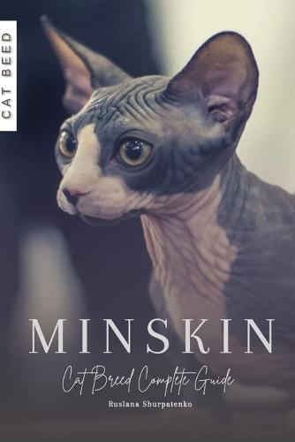Minskin: Cat Breed Complete Guide