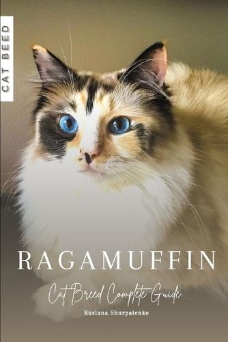 Ragamuffin: Cat Breed Complete Guide