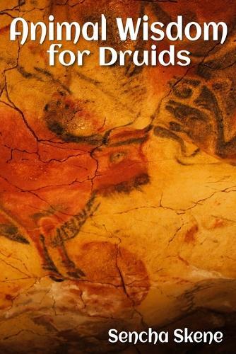Animal Wisdom for Druids