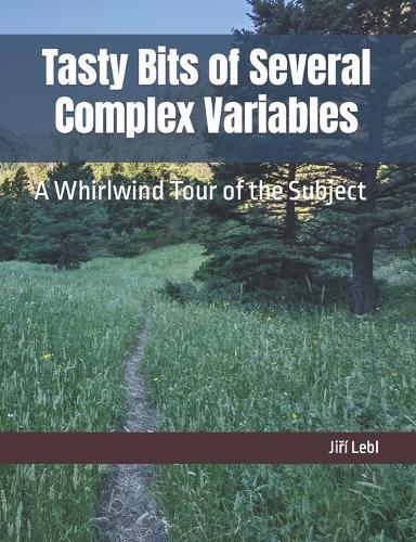 Tasty Bits of Several Complex Variables: A Whirlwind Tour of the Subject