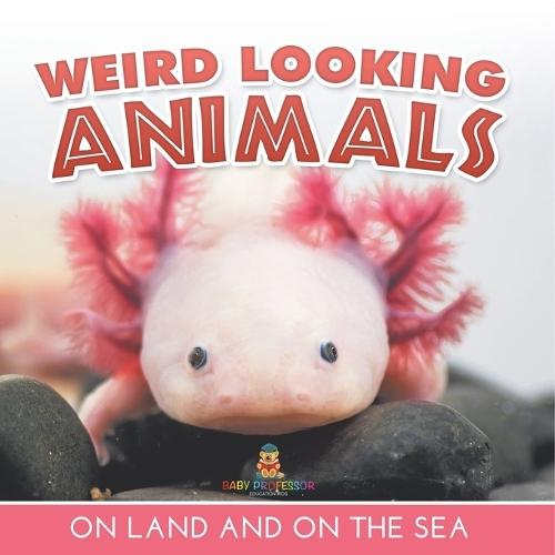 Weird Looking Animals On Land and On The Sea
