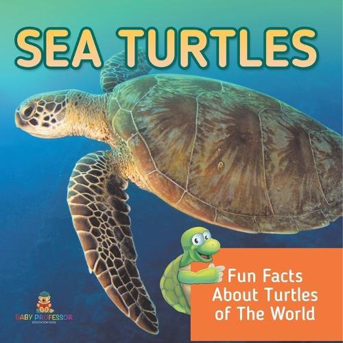 Sea Turtles: Fun Facts About Turtles of The World