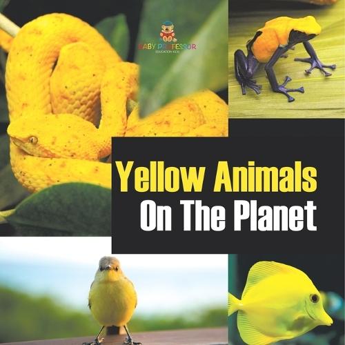 Yellow Animals On The Planet