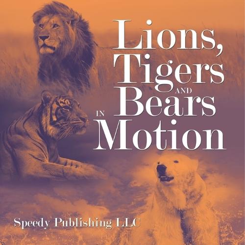 Lions, Tigers And Bears In Motion