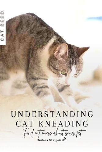 Understanding Cat Kneading: Find out more about your pet