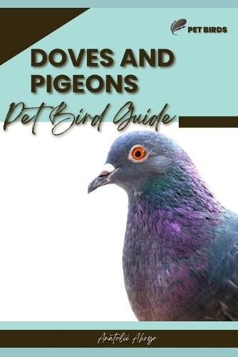 Doves and Pigeons: Pet bird guide