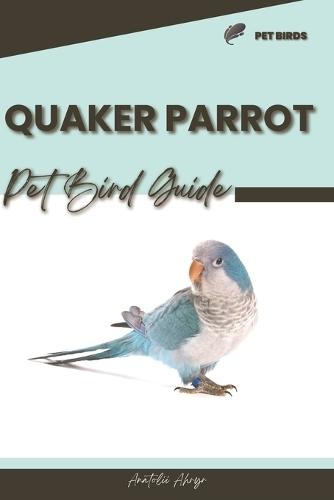 Quaker Parrot: Pet bird guide