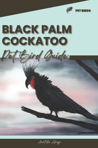 Black Palm Cockatoo: Pet bird guide