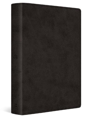 ESV Giant Print Value Personal Size Bible