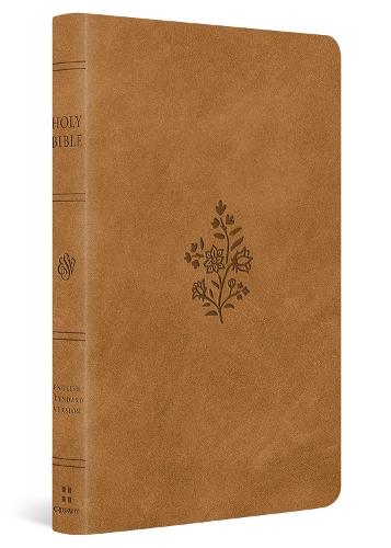 ESV Large Print Value Thinline Bible