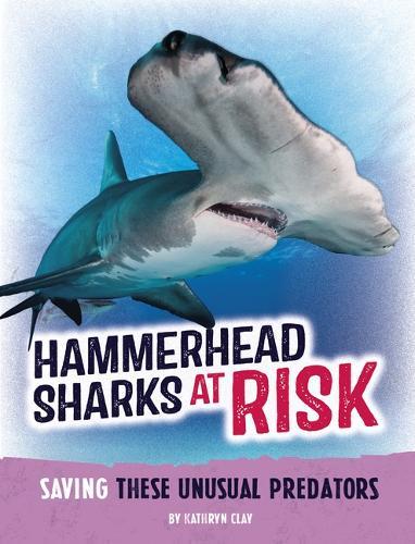Hammerhead Sharks at Risk: Saving These Unusual Predators