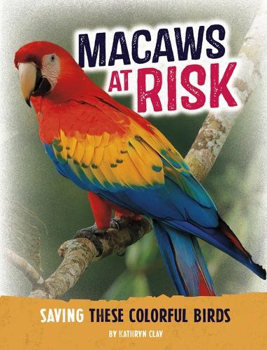 Macaws at Risk: Saving These Colorful Birds