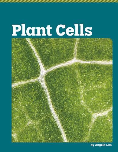 Plant Cells