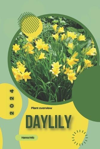 Daylily: Simply beginners guide