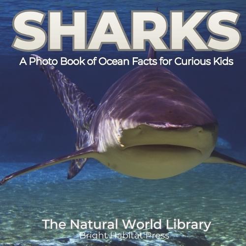 Sharks: A Photo Book of Ocean Facts for Curious Kids