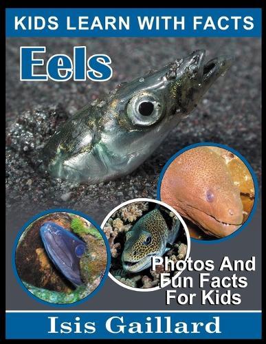 Eels: Photos and Fun Facts for Kids