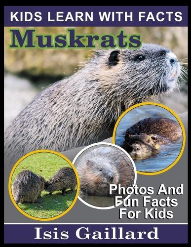 Muskrats: Photos and Fun Facts for Kids