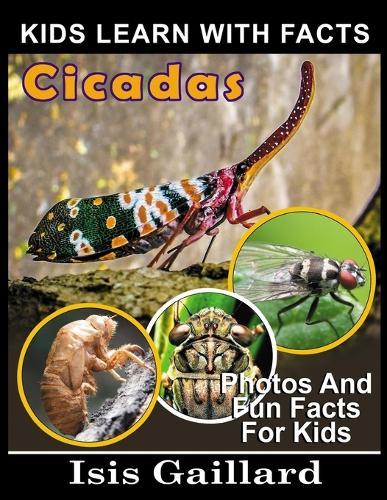 Cicadas: Photos and Fun Facts for Kids