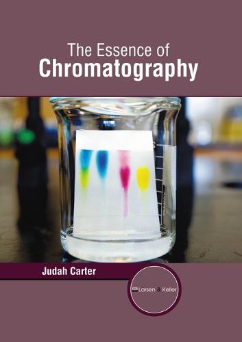 The Essence of Chromatography