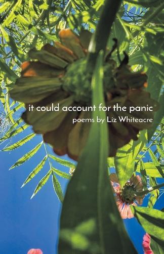 it could account for the panic