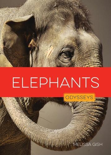 Elephants