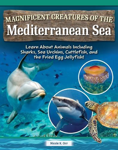 Magnificent Creatures of the Mediterranean Sea: Learn about Animals Including Sharks, Sea Urchins, Cuttlefish, and the Fried Egg Jellyfish!
