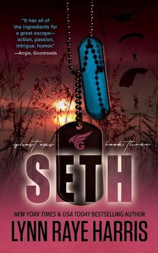 Seth: A Small Town, Enemies to Lovers, Protector Romance