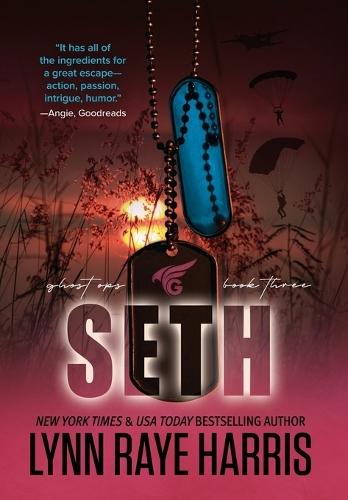 Seth: A Small Town, Enemies to Lovers, Protector Romance