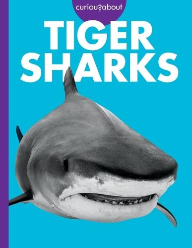 Curious about Tiger Sharks