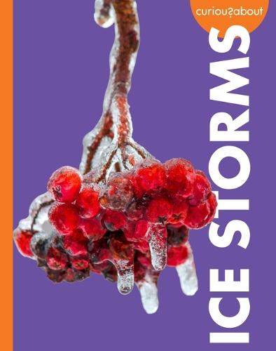 Curious about Ice Storms