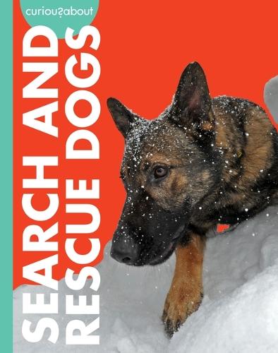 Curious about Search and Rescue Dogs