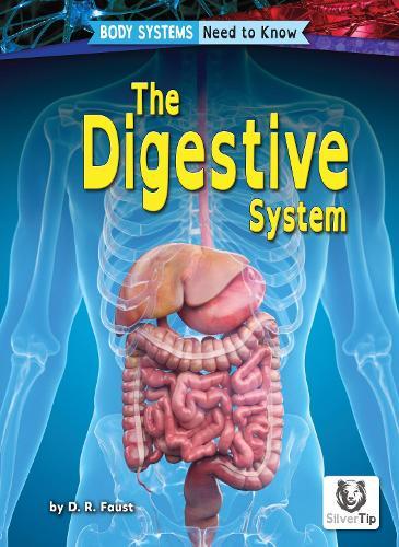 Digestive System