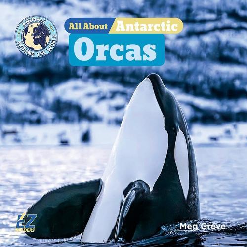 All about Antarctic Orcas
