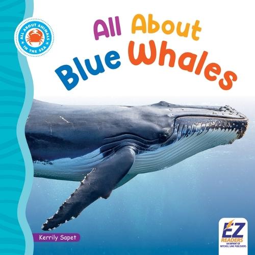All about Blue Whales